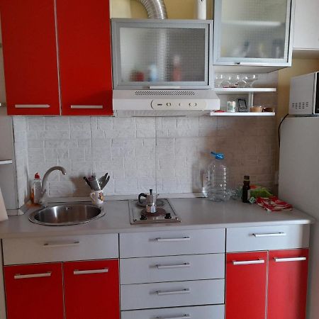 Nasty Apartament Костінешть Екстер'єр фото